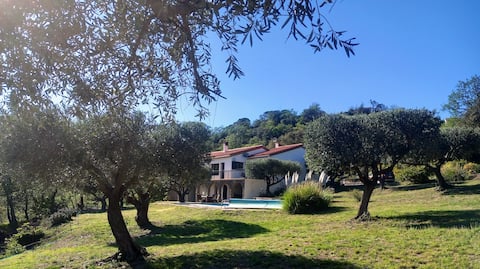 6 person villa with pool