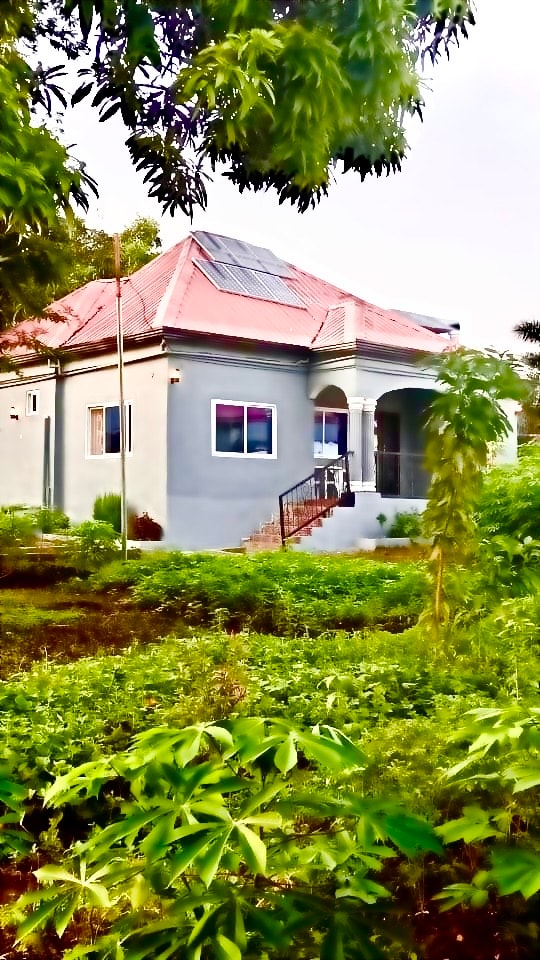 A single-story house with a sloped roof is surrounded by lush greenery. Solar panels are visible on the roof, and the entrance features a small staircase leading to an arched doorway. Windows are framed in vibrant colors, enhancing the exterior's charm.