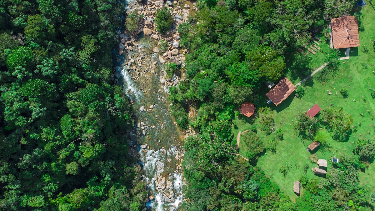 An aerial view presents a lush landscape, showcasing a vibrant green environment adjacent to a flowing river. Stones dot the water, while a well-kept lawn features a few rustic structures, including a roofed deck and cabins surrounded by dense trees.