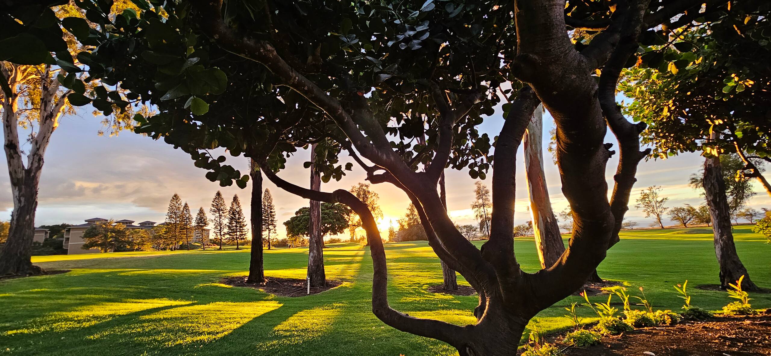 Ocean and golf course views! - Photo 19