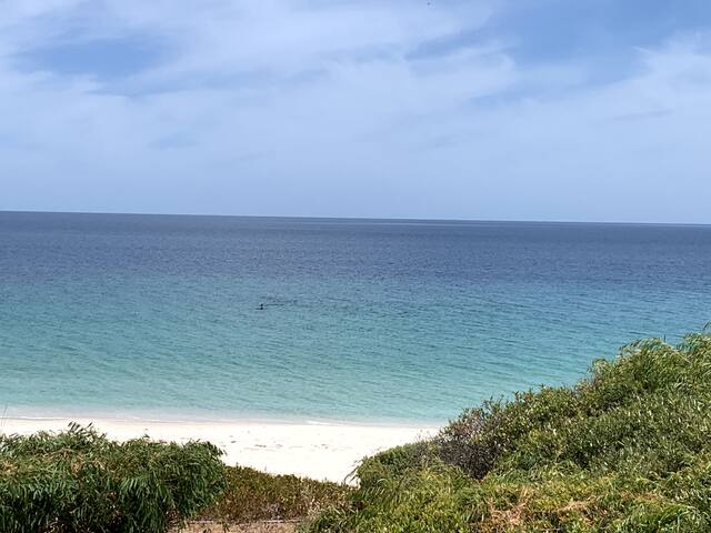 Peppidune Beach House – So close to the beach gallery image 3