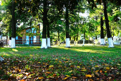 Navy House in the Park of Magnetic Sand Beach