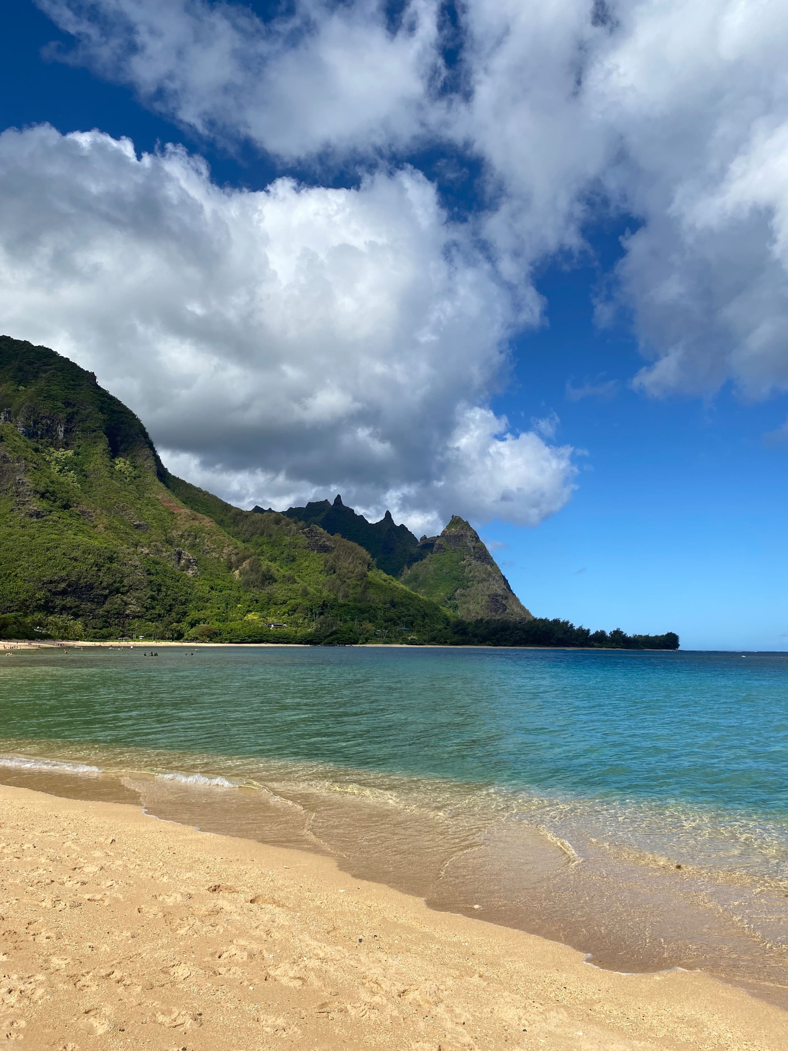 Condo in Princeville · ★4.93 · 2 bedrooms · 2 beds · 1 private bath - Image 43