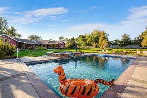 Huge ranch house,  pool, 10 acres with vineyards!