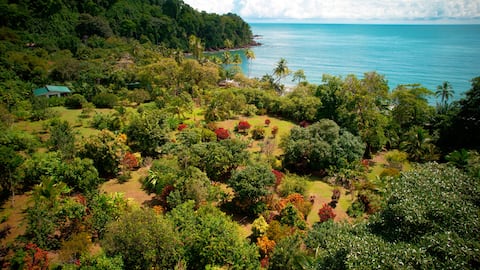Eden Corcovado - Bromelia House