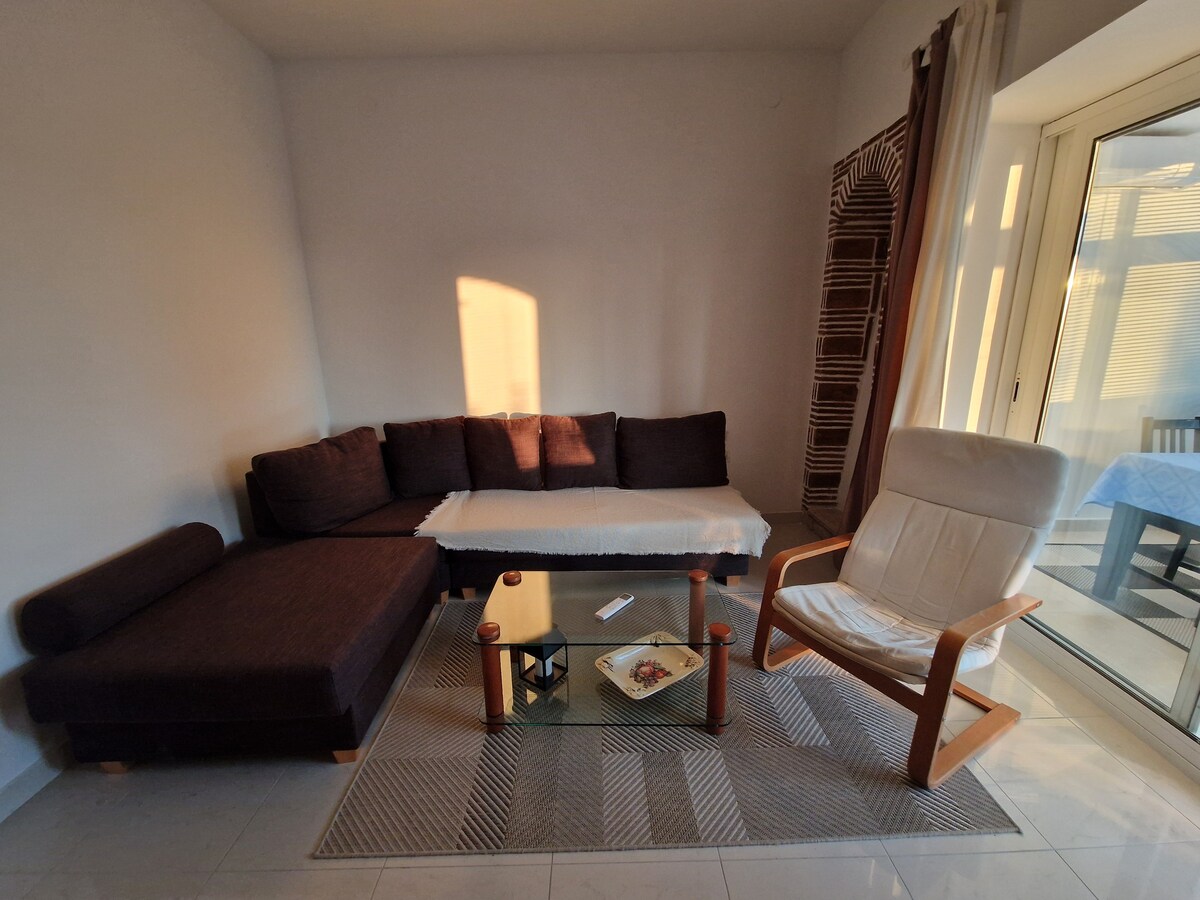 1A  · Comfort apartment with Vineyard view