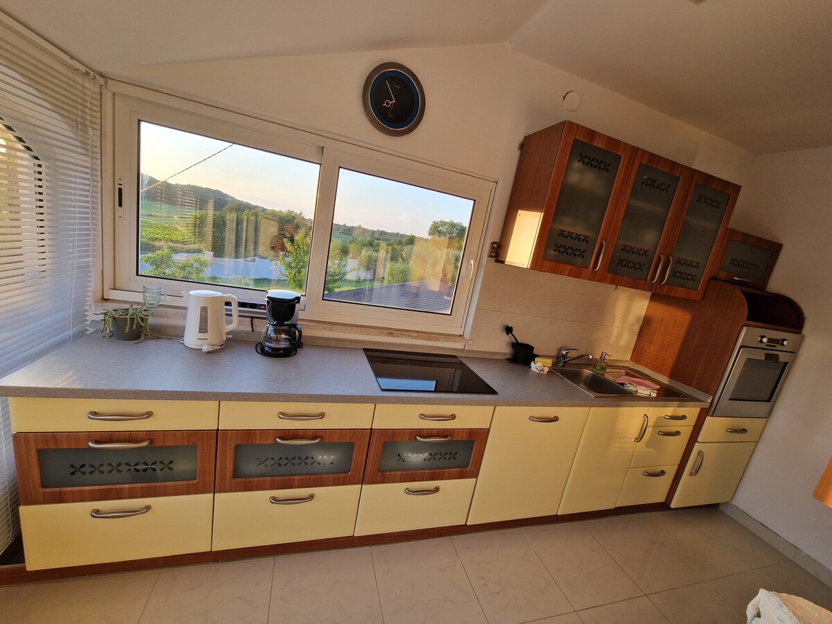 1A  · Comfort apartment with Vineyard view