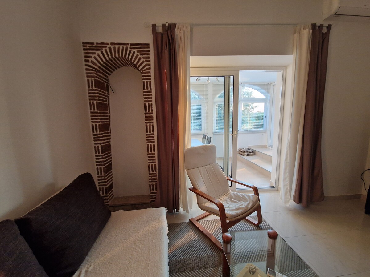 1A  · Comfort apartment with Vineyard view