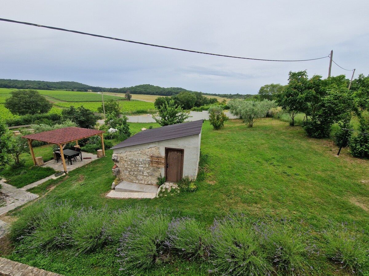 1A  · Comfort apartment with Vineyard view