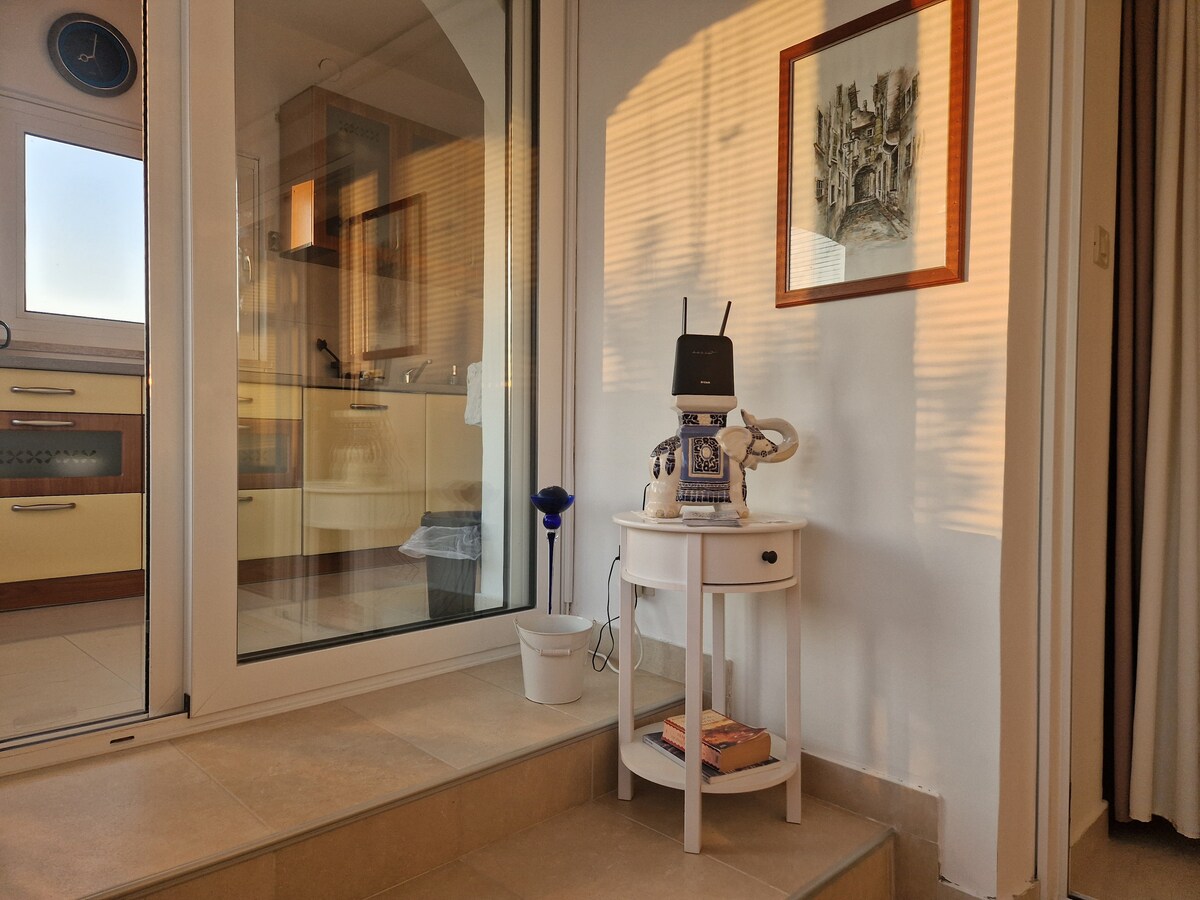 1A  · Comfort apartment with Vineyard view