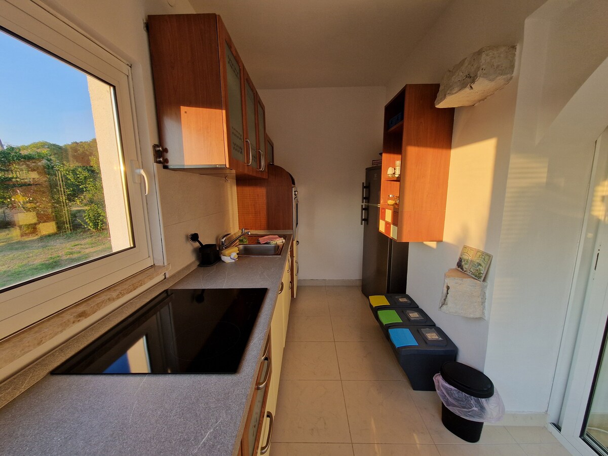 1A  · Comfort apartment with Vineyard view
