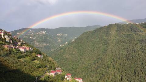 Scenic apartment near Uzungöl