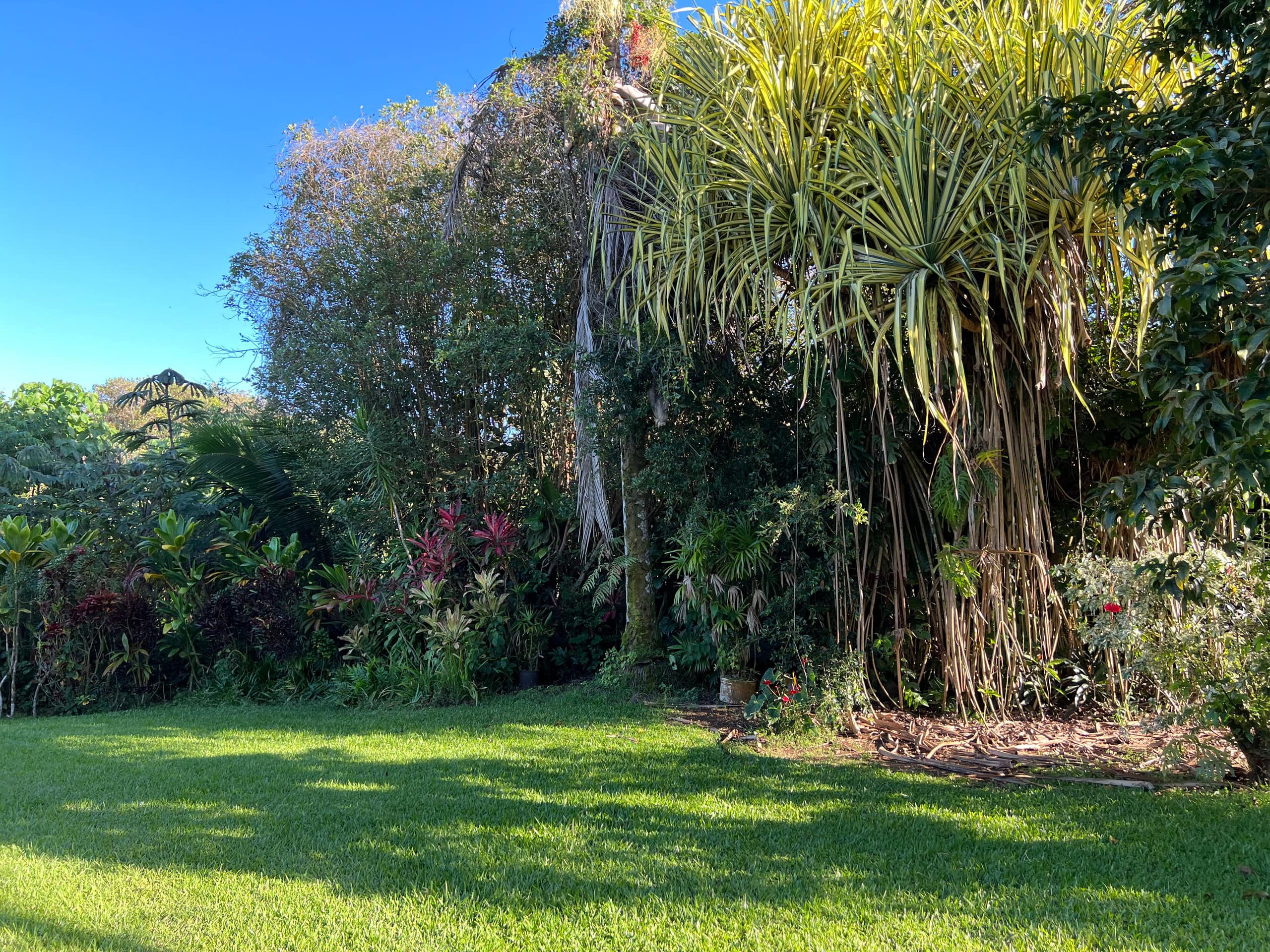 Home in Hilo · ★5.0 · 1 bedroom · 2 beds · 1 private bath - Image 115