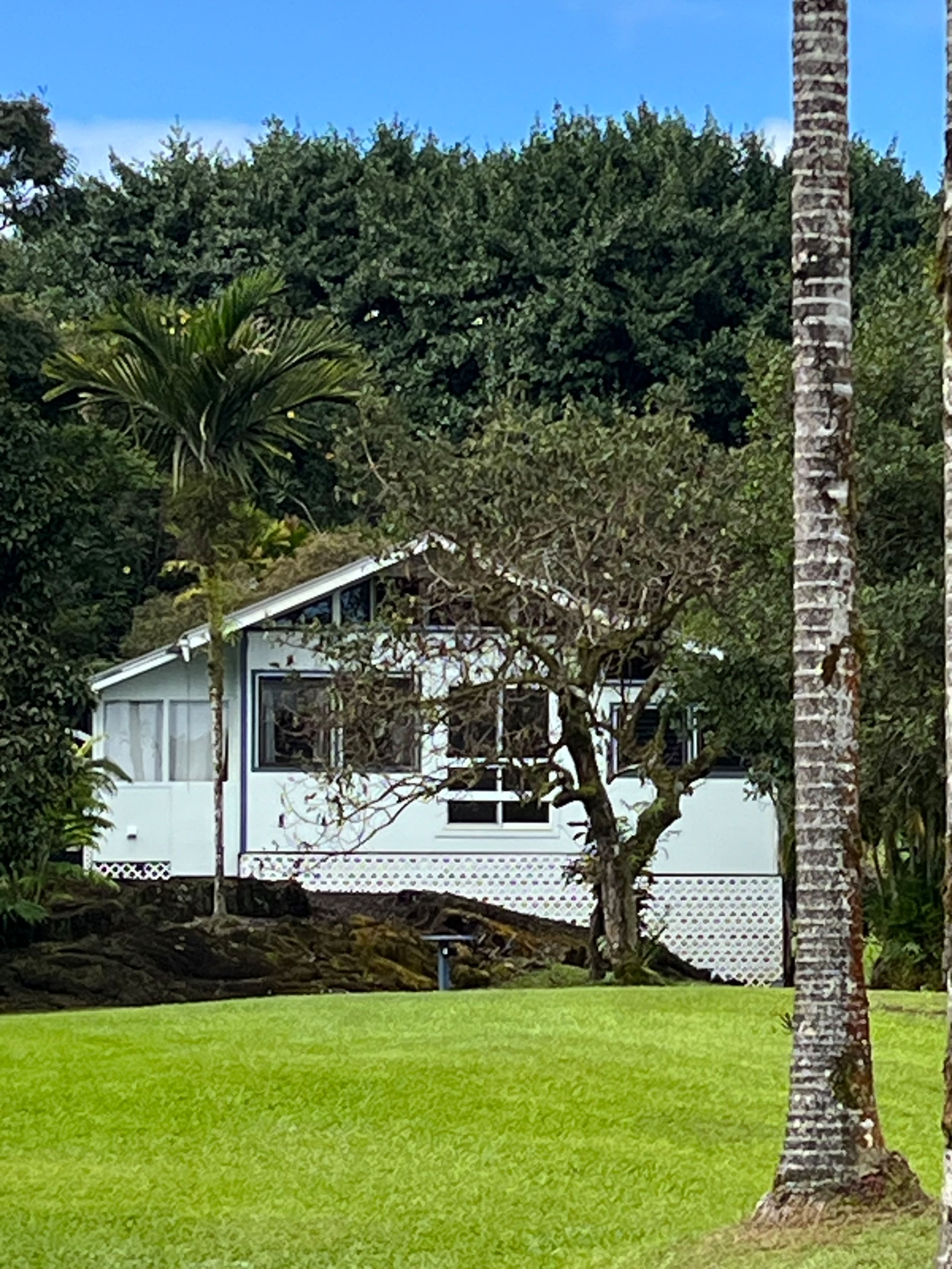 Home in Hilo · ★5.0 · 1 bedroom · 2 beds · 1 private bath - Image 99