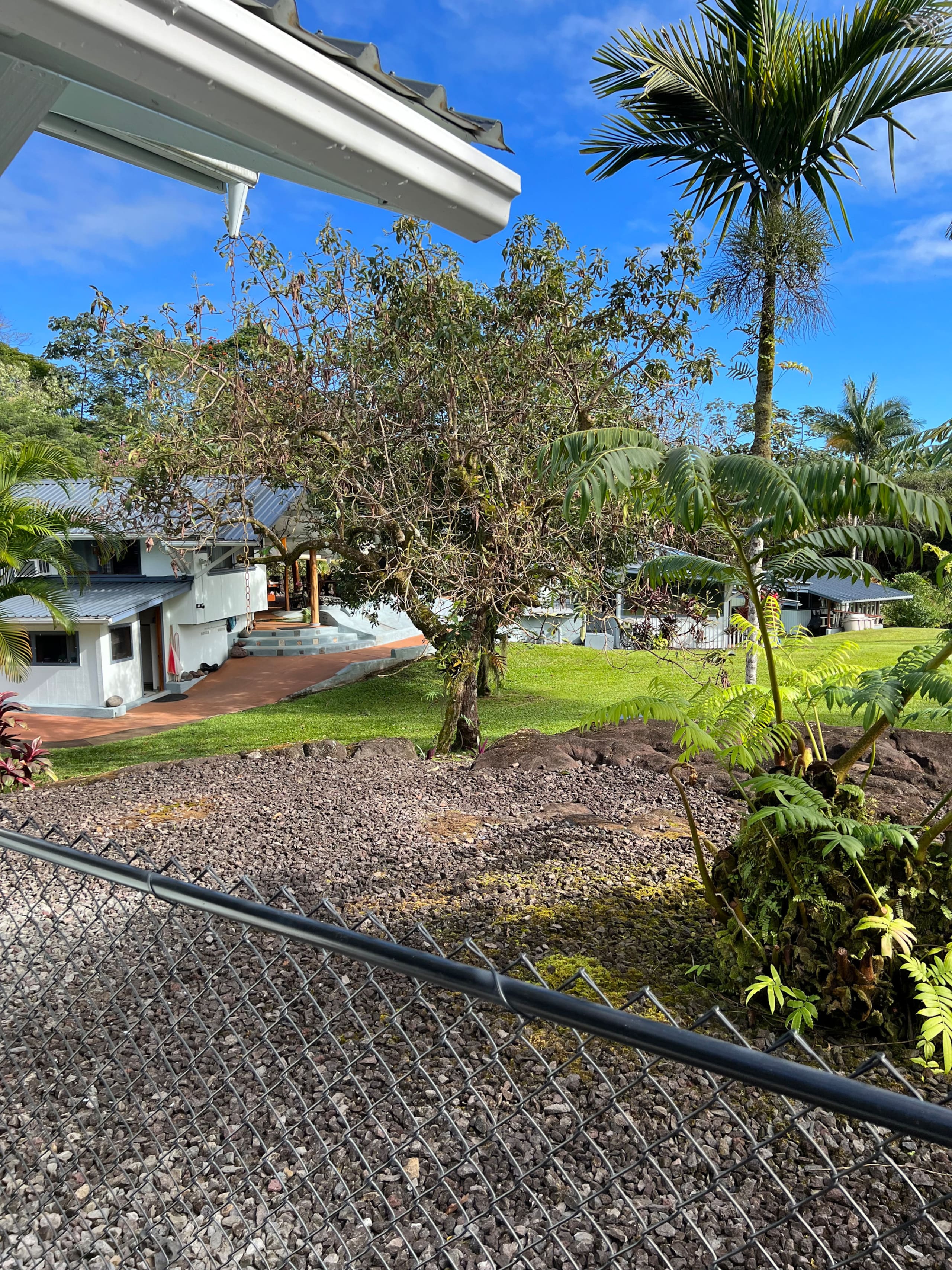 Home in Hilo · ★5.0 · 1 bedroom · 2 beds · 1 private bath - Image 104