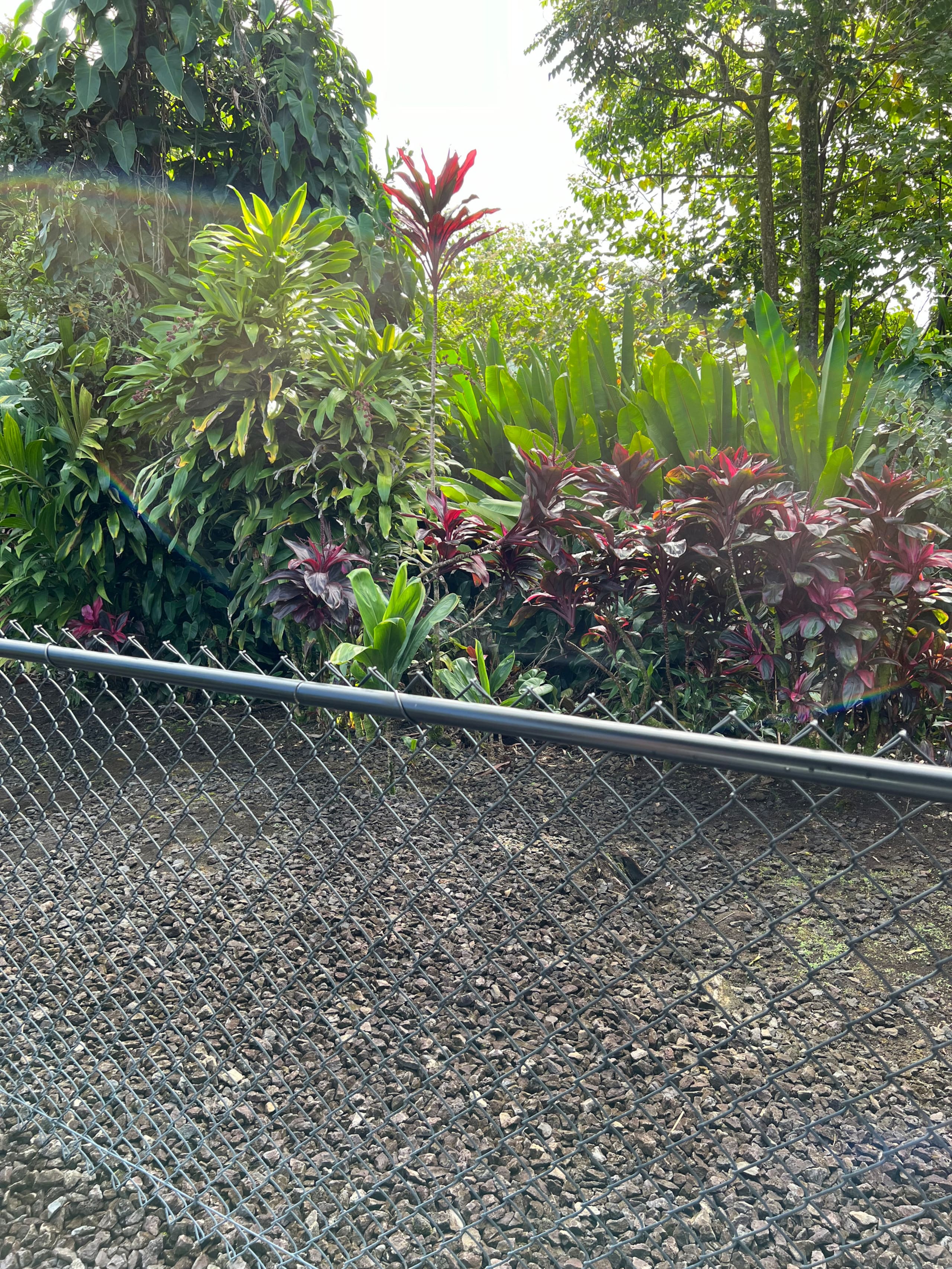 Home in Hilo · ★5.0 · 1 bedroom · 2 beds · 1 private bath - Image 106