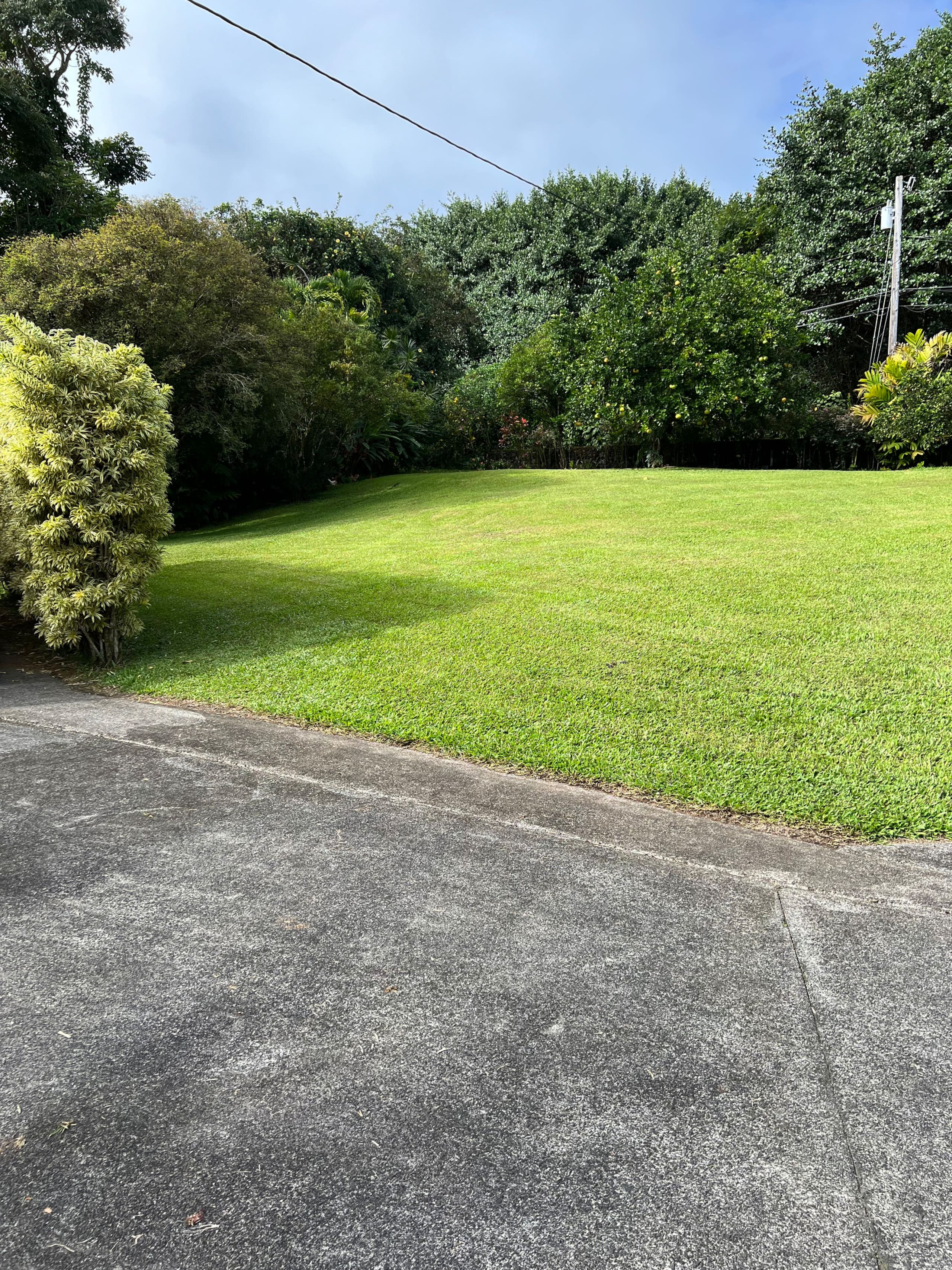 Home in Hilo · ★5.0 · 1 bedroom · 2 beds · 1 private bath - Image 102