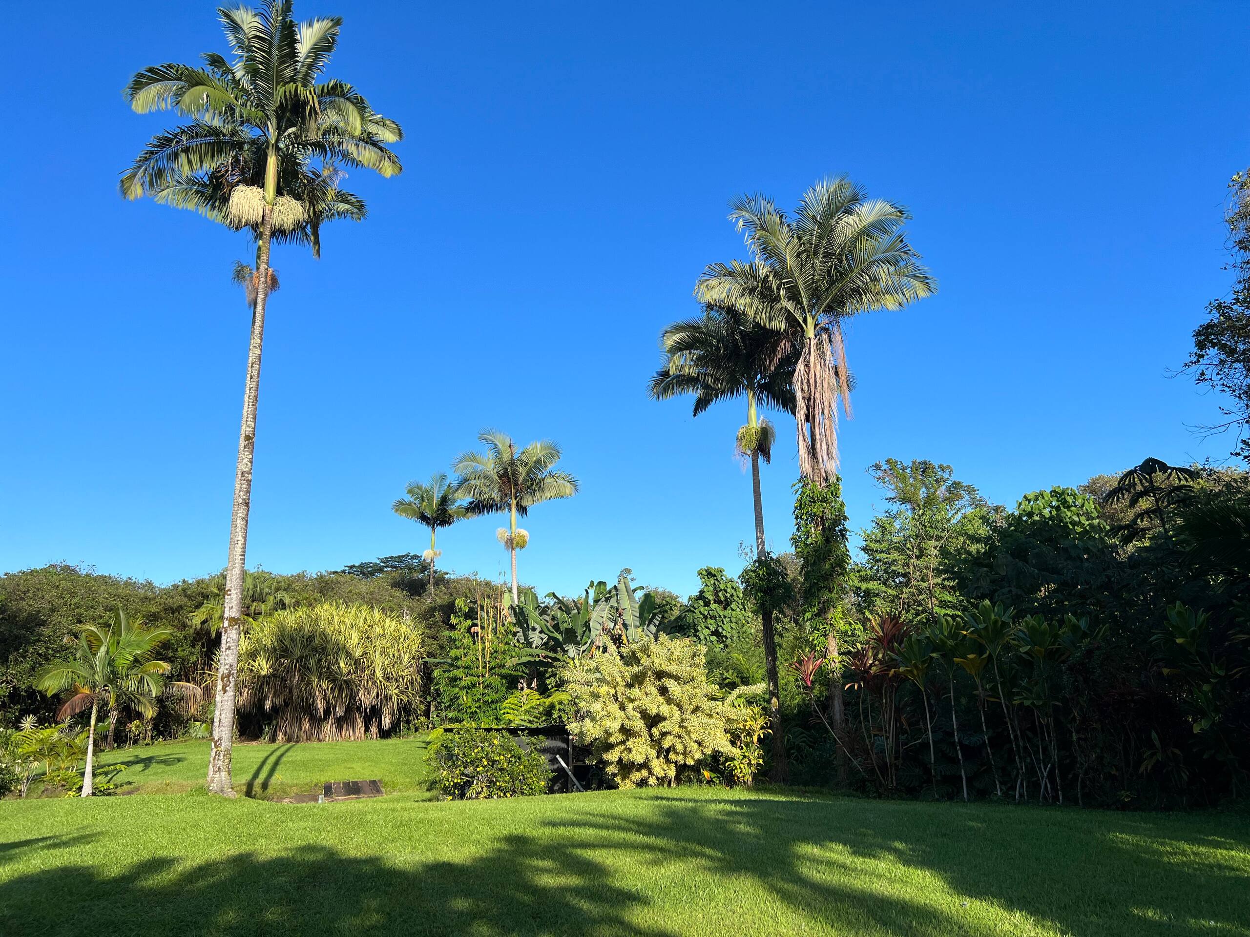 Home in Hilo · ★5.0 · 1 bedroom · 2 beds · 1 private bath - Image 110