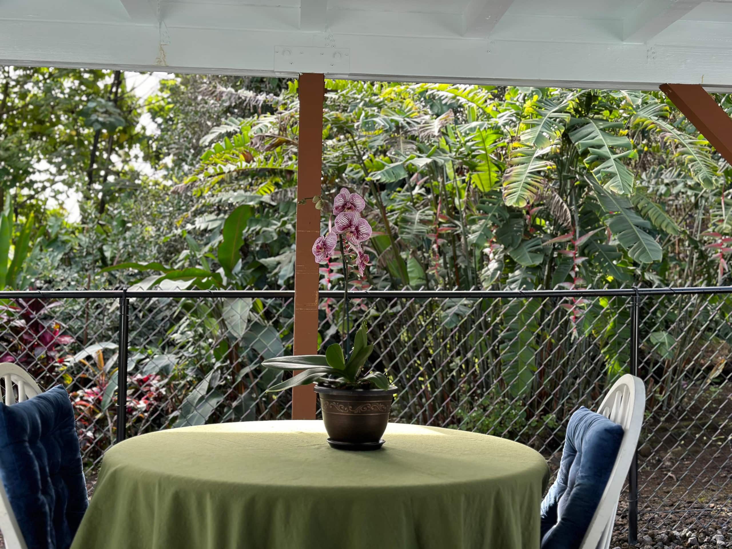 Home in Hilo · ★5.0 · 1 bedroom · 2 beds · 1 private bath - Image 82