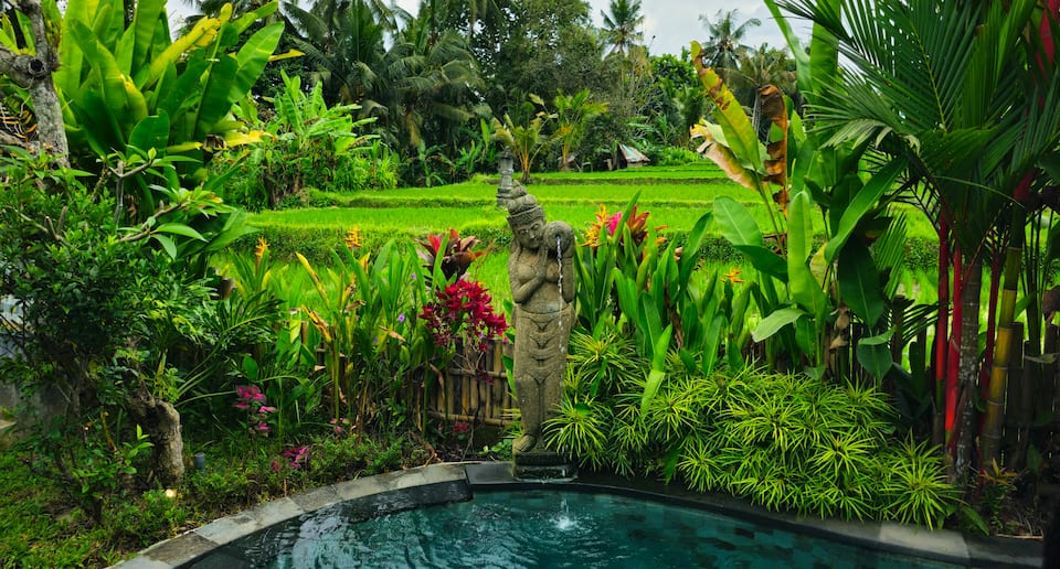 A carved wooden Joglo house in the Ubud rice fields, Ubud, Bali, Indonesia, photo 6 of 10