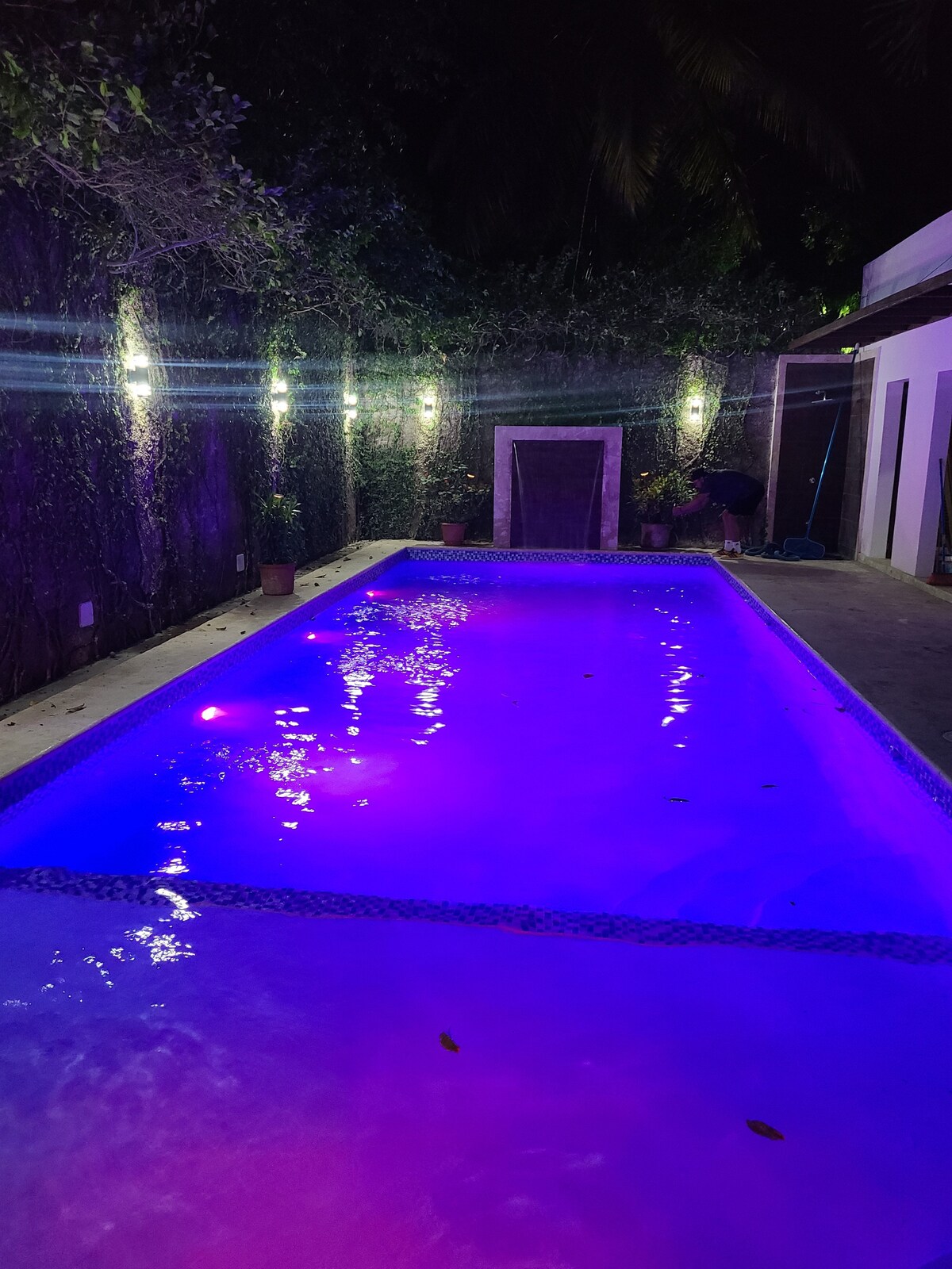 A serene swimming pool is illuminated with soft purple lighting, reflecting on the water's surface. Lush greenery lines the walls, enhancing the tranquil ambiance. The pool area is spacious, featuring clean tiles and subtle decorative elements.