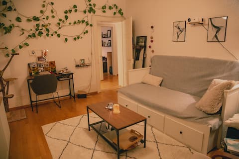 Top Airbnb: Bright apartment in a trendy area in Wipkingen