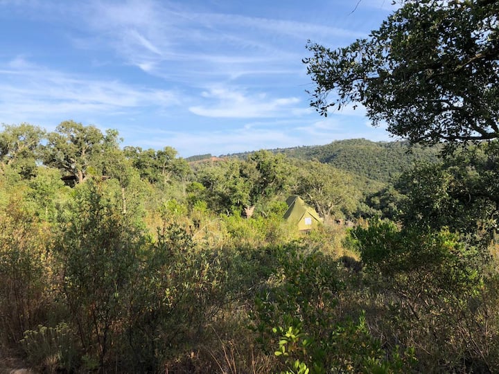Vista exterior da Tenda Rosmaninho