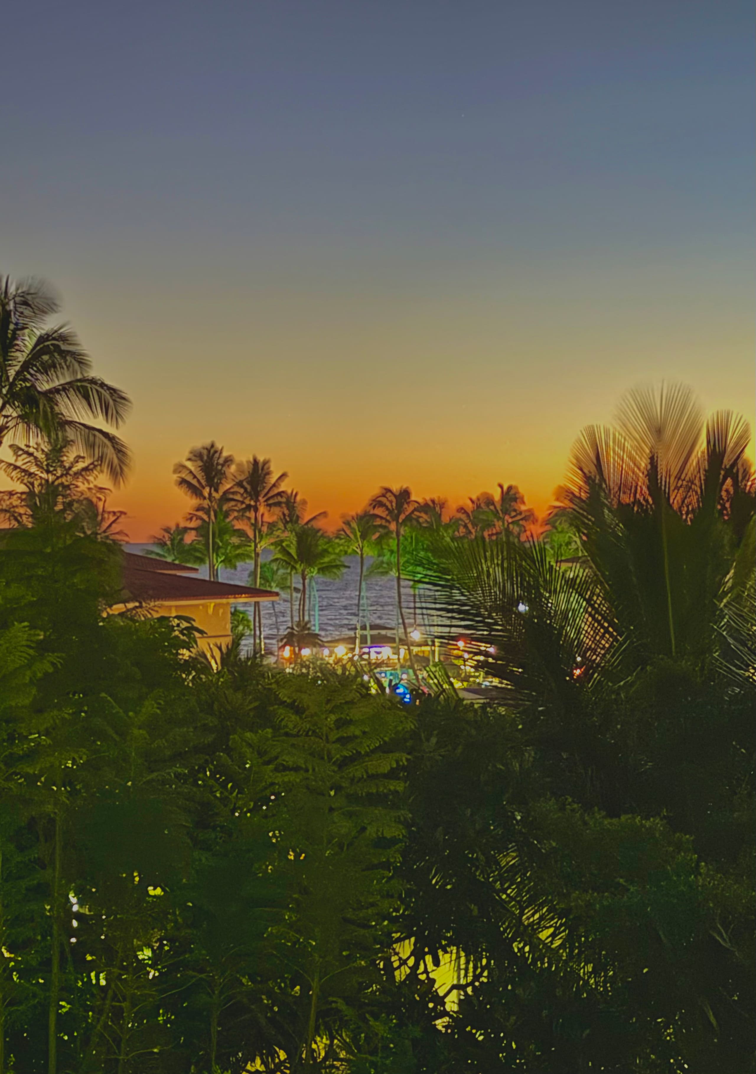 Poipu Vibes in Modern Comfort OV AC WD Rare Find! - Image 21