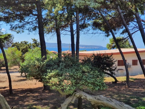 ThirtyOneB - Costa del sole village