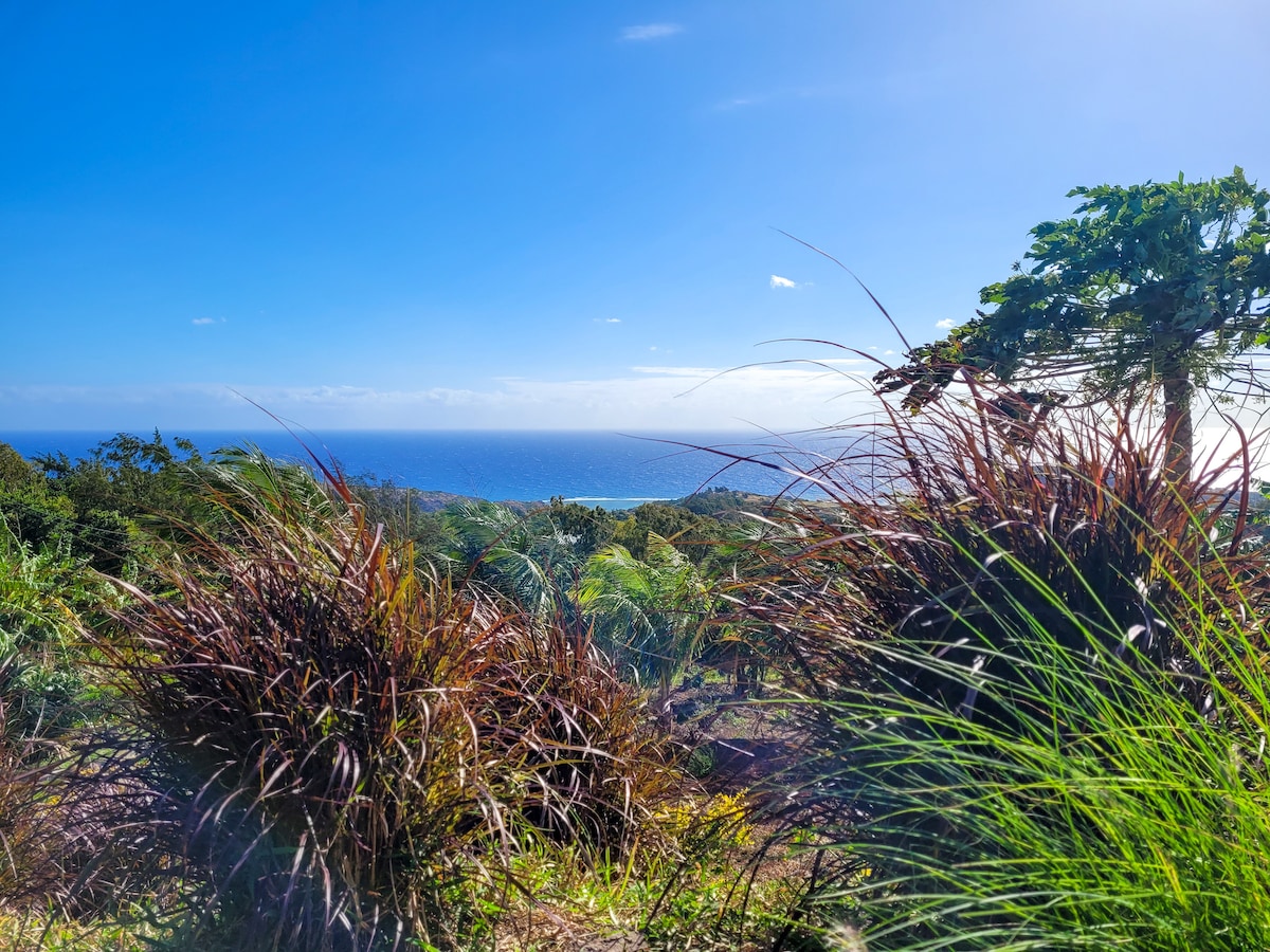 A scenic view of the ocean is framed by lush greenery and tropical plants. The clear blue sky complements the shimmering water in the distance, creating a tranquil atmosphere. Natural vegetation enhances the landscape, showcasing the beauty of the location.