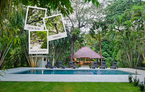 Guana Getaway Where Monkeys Come and Visit!?