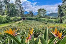 El Rincón del Paraiso | Valle de Bravo rental in San Gabriel Ixtla