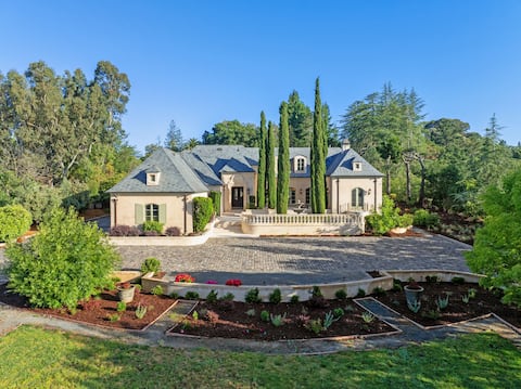 Luxurious Vintage French Chateau