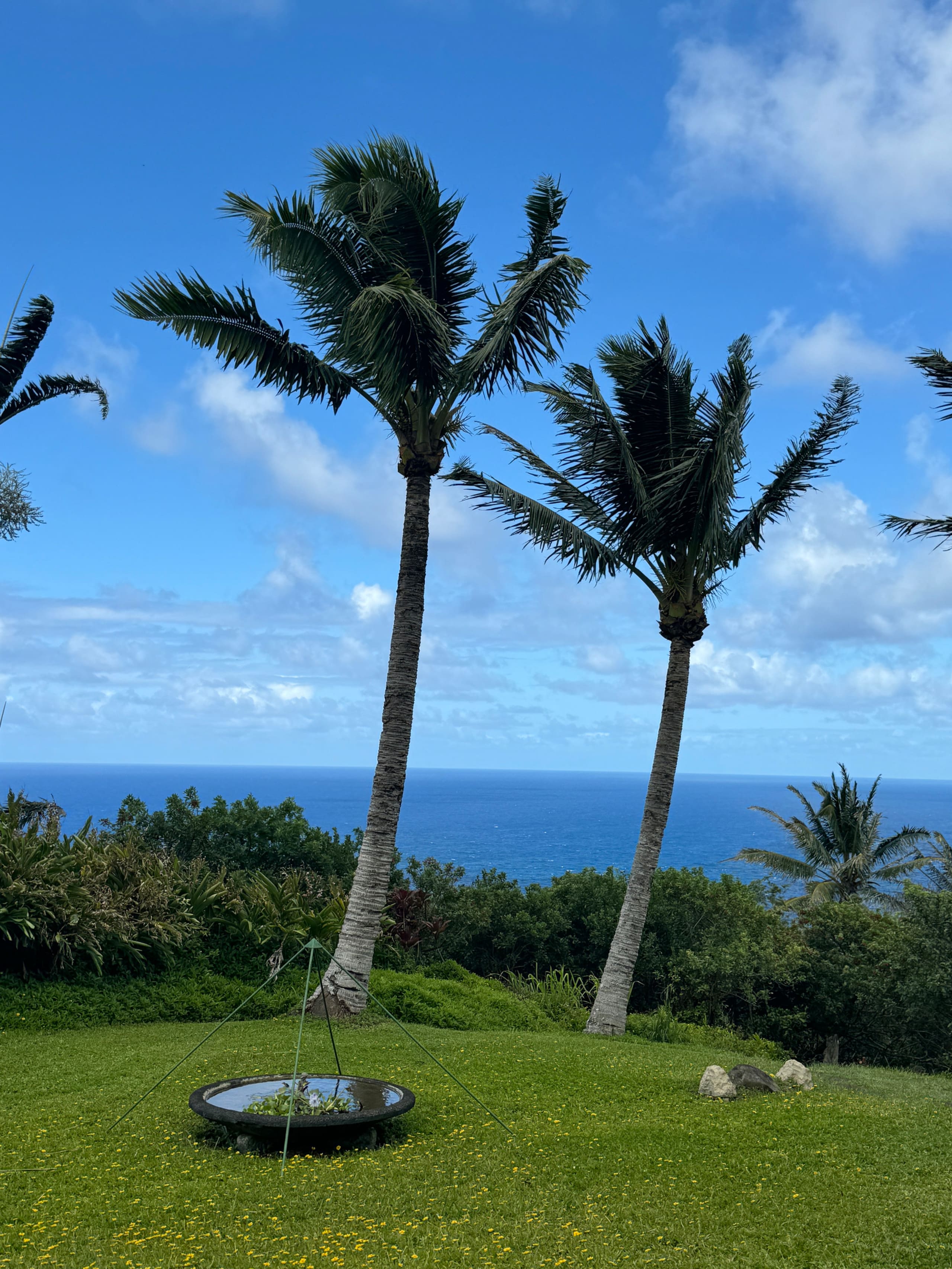 Oceanfront EcoRetreat: Waterfall, Trails, Serenity - Photo 35