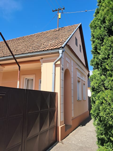 Old house in the suburbs of Vinkovci
