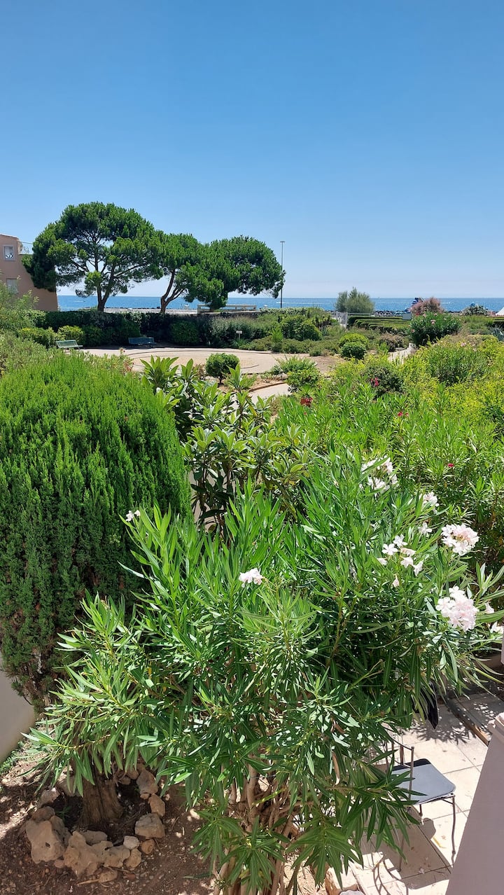 T2 Vue Mer, Plages Et Restaurants 5 Min à Pied. - Sète