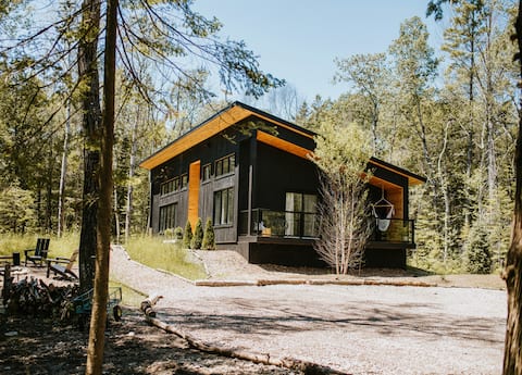 Modern Scandinavian Cabin in the Woods Lion's Head