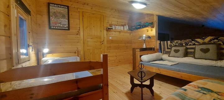 Fjetore mezzanine për të rritur ose  fëmijë të moshës 6 vjeç e lart 
Lojëra në bibliotekë dhe tavolinë 