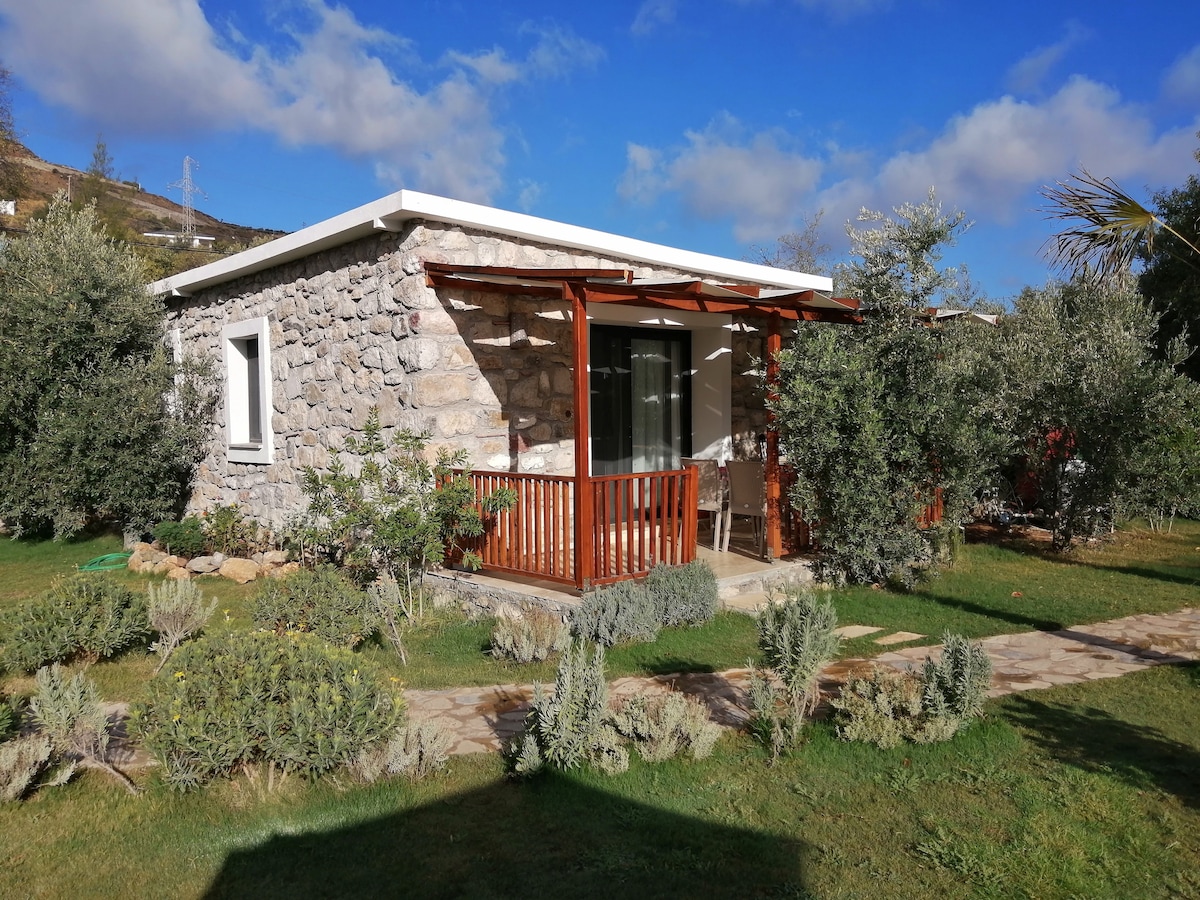 A charming stone cottage is surrounded by lush greenery and carefully arranged plants. A wooden deck with railings offers outdoor seating, while large windows invite natural light into the inviting interior. The landscape features a well-maintained lawn and pathways bordered by shrubs.