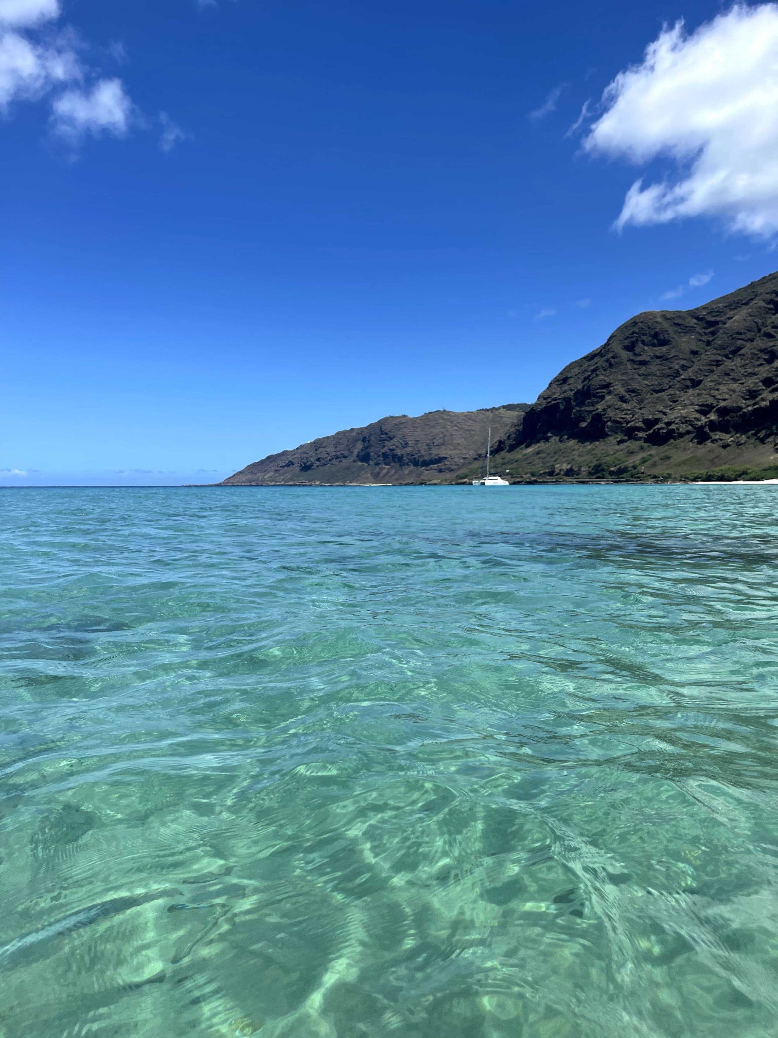 Hawaiian Studio Retreat in Makaha Valley - Photo 29