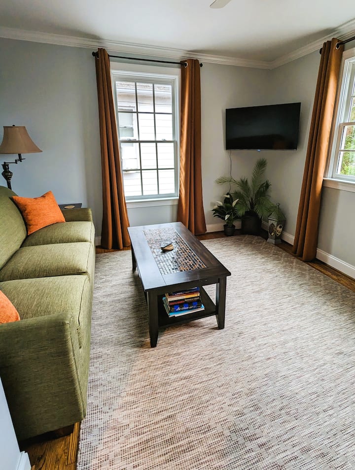 Dhomë e madhe familjare me shi me krevat dopio "queen", televizor Roku, lojëra dhe libra.  **MË njofto një javë më parë nëse divani i krevatit është i nevojshëm për më pak se 5 persona të prenotuar **