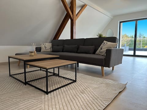 Modern Molsheim apartment, large terrace