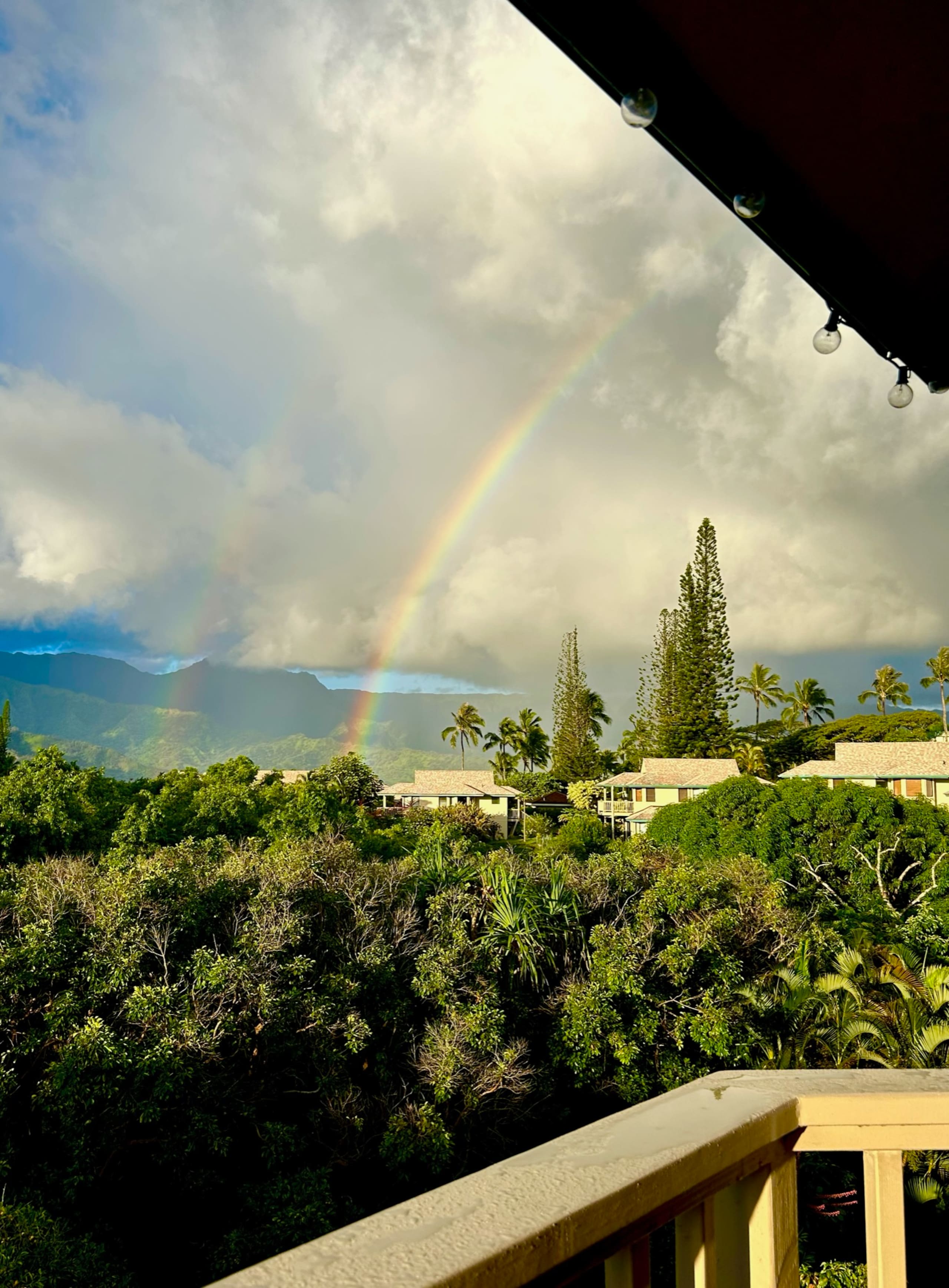 Home in Princeville · ★5.0 · 2 bedrooms · 2 beds · 2.5 baths - Image 14