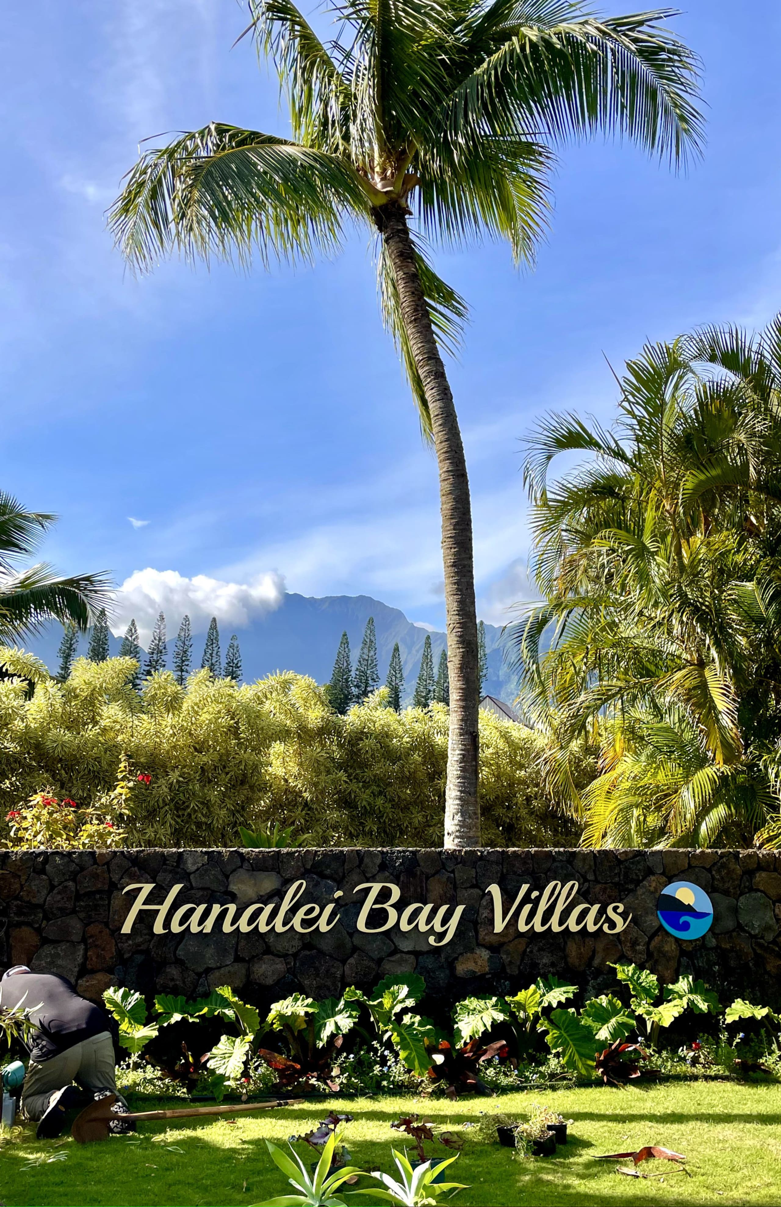 Home in Princeville · ★5.0 · 2 bedrooms · 2 beds · 2.5 baths - Image 59