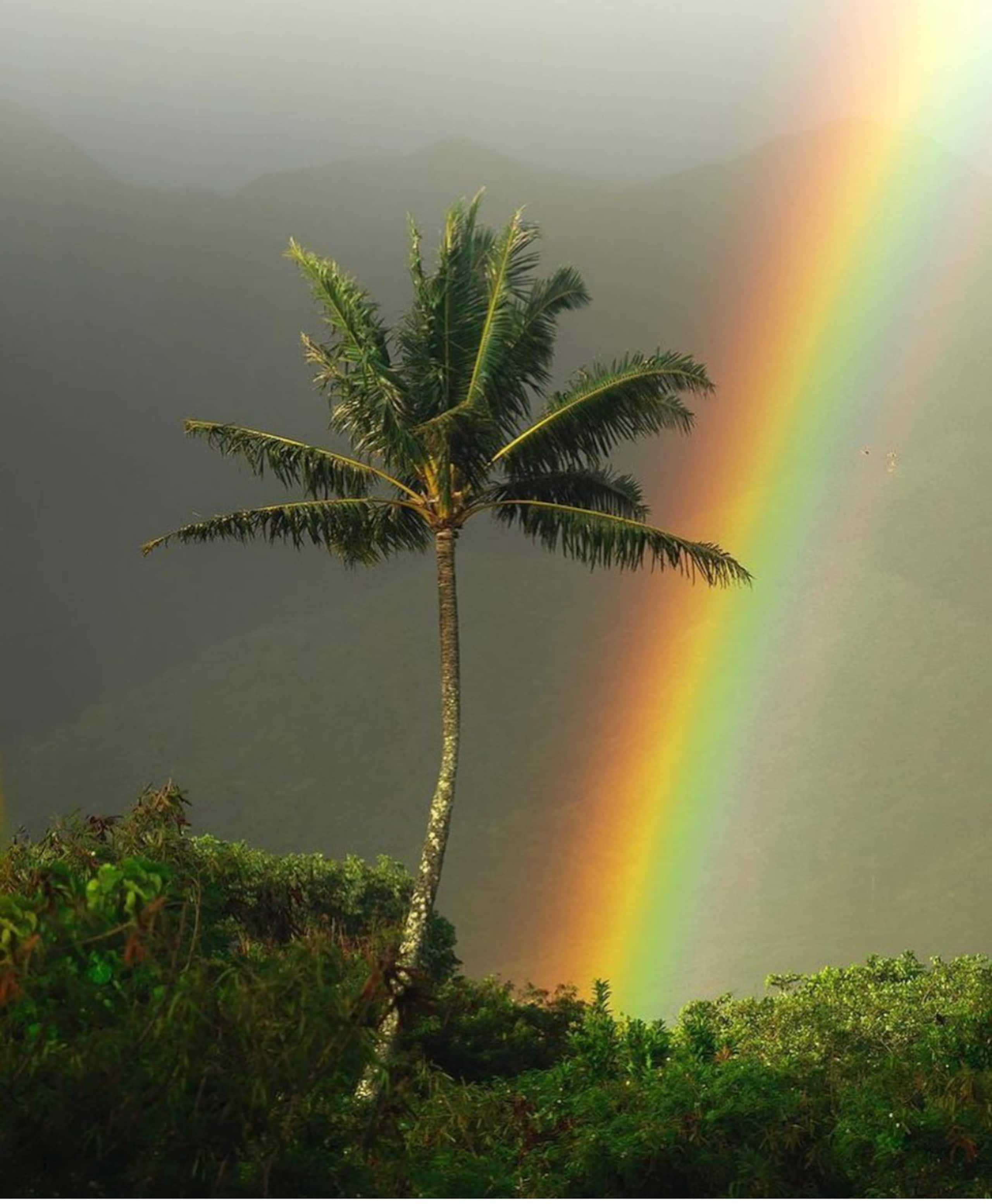 Home in Princeville · ★5.0 · 2 bedrooms · 2 beds · 2.5 baths - Image 54