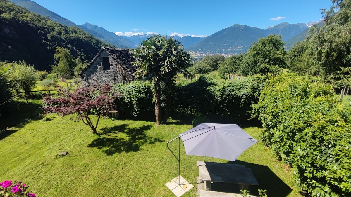 A serene garden is viewed, featuring a well-kept lawn and diverse greenery, including a palm tree and shrubbery. A gray umbrella is positioned over a stone table, which offers a shaded seating area. Mountains rise in the background under a clear blue sky.