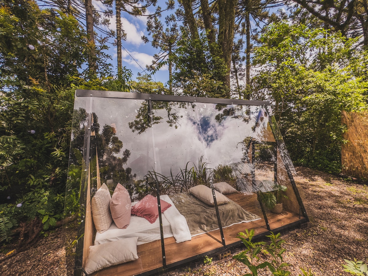 A transparent cabin is surrounded by lush greenery, featuring a simple bed with soft pillows and blankets. The natural scenery is reflected in the glass walls, creating a seamless connection with the outdoors under a clear sky.