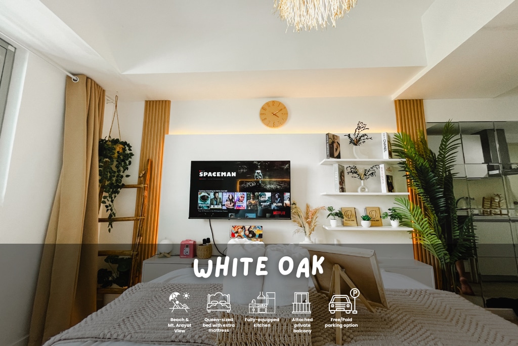 A spacious studio is featured, showcasing a mounted television with a gaming console beneath. Soft textures are present on the bed, while decorative plants and shelves add a touch of greenery. Sunlight enters through the window, enhancing the warm color palette of the room.