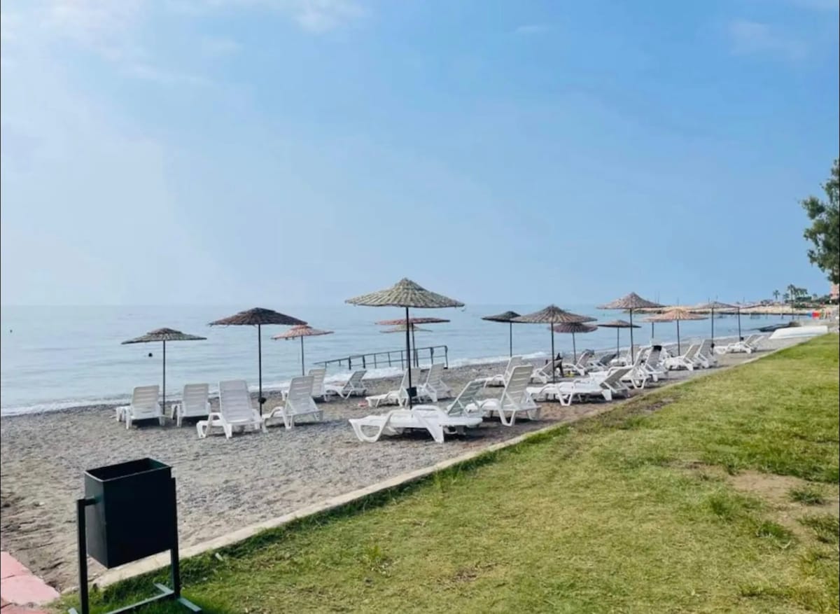 A sunlit beach area features several lounge chairs arranged neatly on the sand. Thatched umbrellas provide shade, and a wooden platform is visible near the water. The grass lines the beach, contributing to a serene coastal environment.