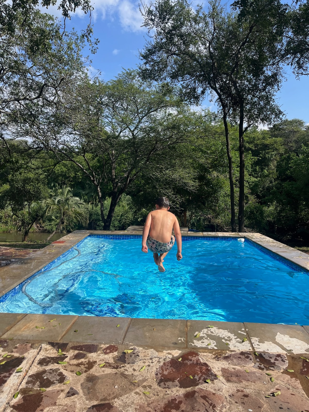 A shimmering swimming pool is surrounded by lush green foliage, creating a serene outdoor setting. The cool blue water contrasts with the natural landscape. A person is seen stepping into the pool, suggesting an inviting atmosphere for relaxation and leisure.